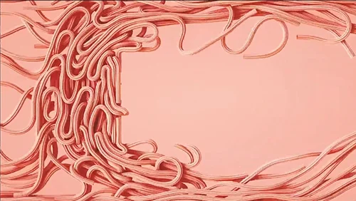 Patreon - MotionPunk скачать